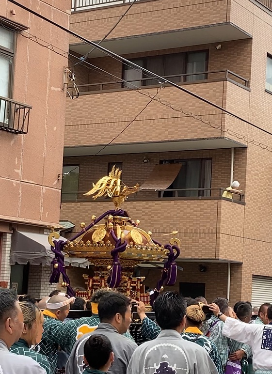 玉姫稲荷神社の神輿が住宅街を巡行する様子。多くの氏子たちが参加している