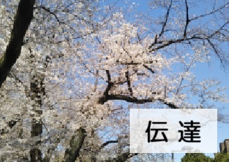 伝達