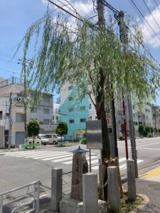 土手通りに立つ見返り柳の現在の姿