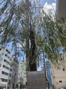 吉原の入口に立つ見返り柳の全景