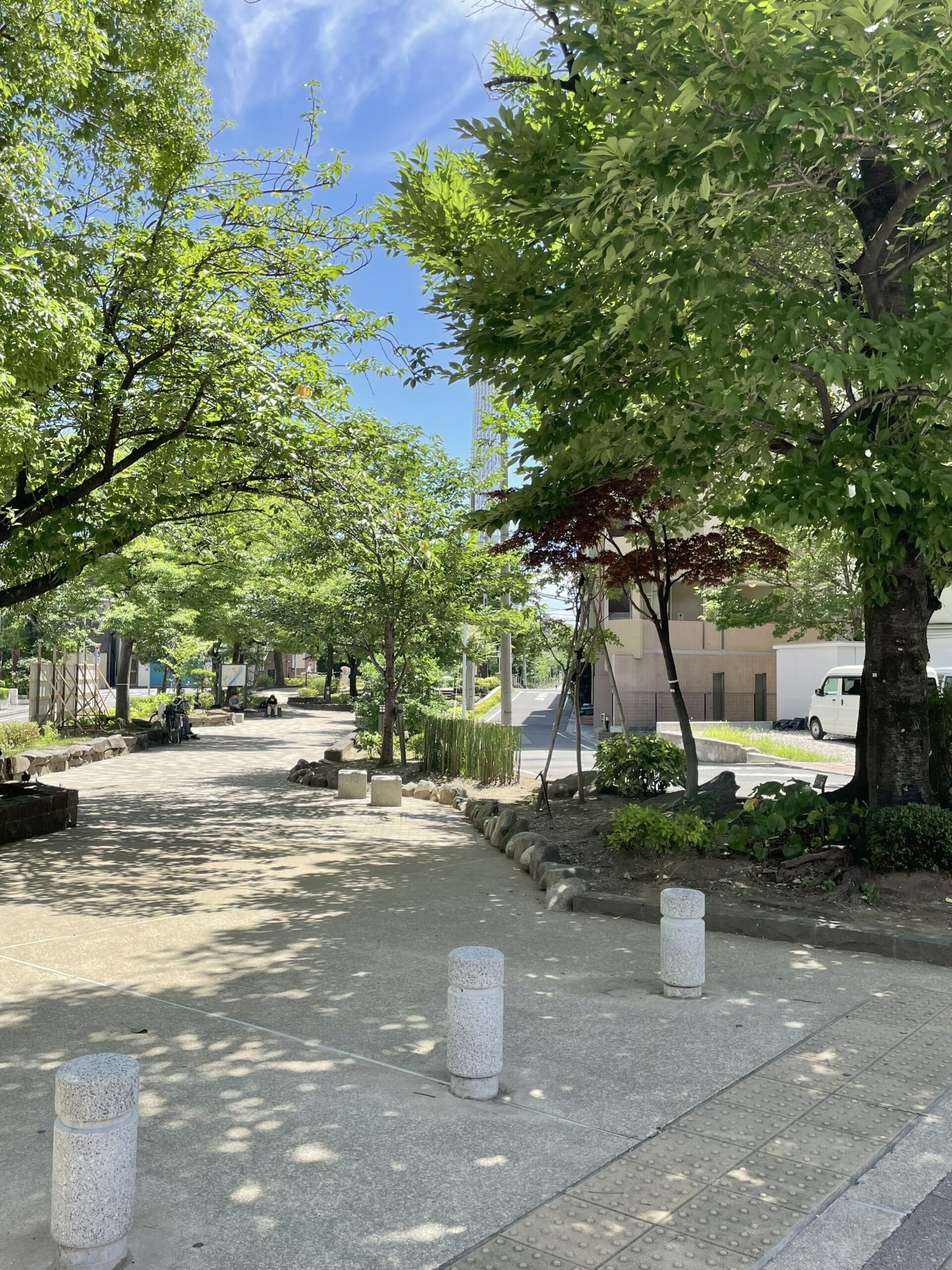 山谷堀公園・吉野橋付近の並木道