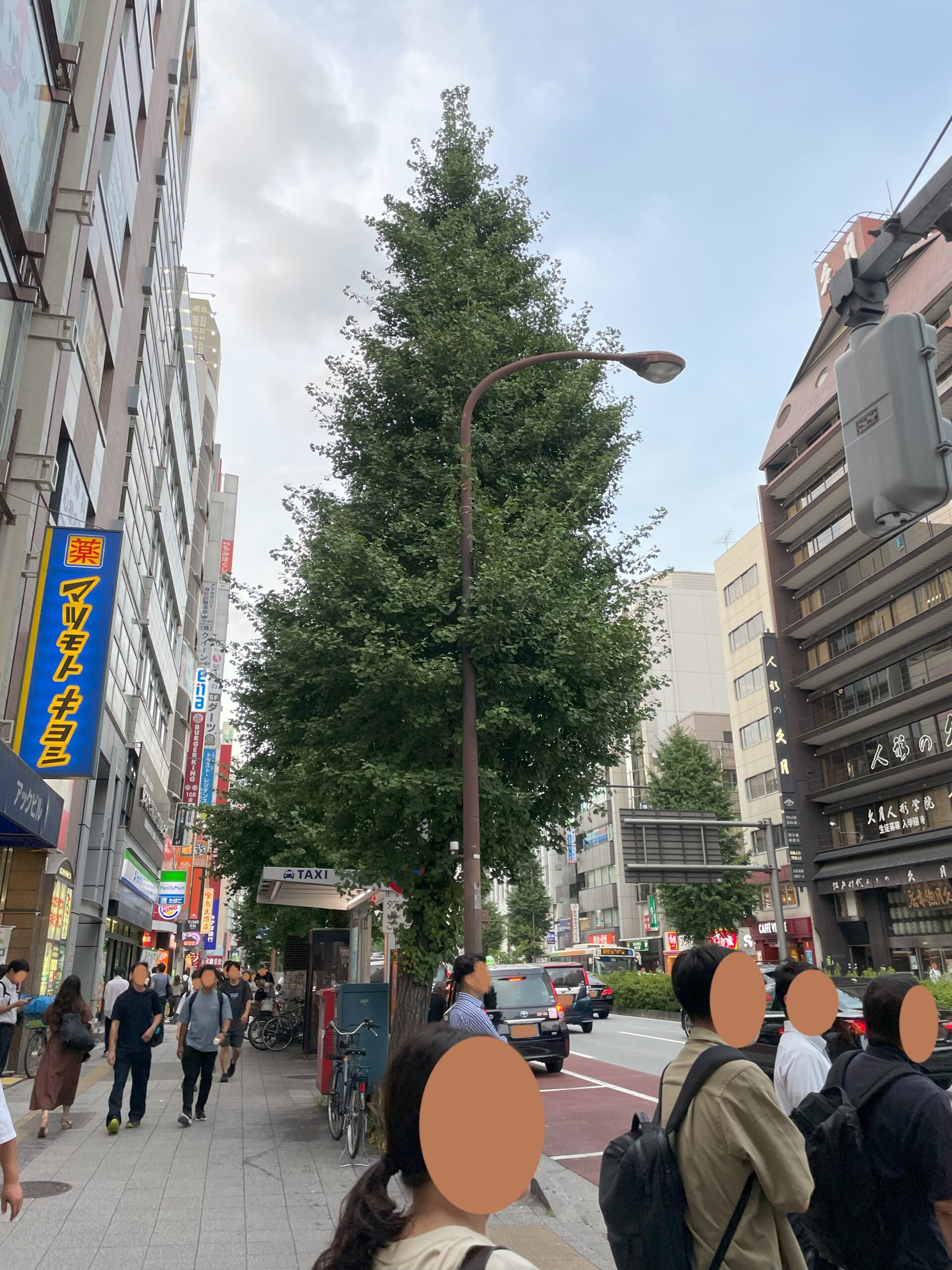夏の夕方の浅草橋駅前、大通りを歩く人々と街路樹の風景