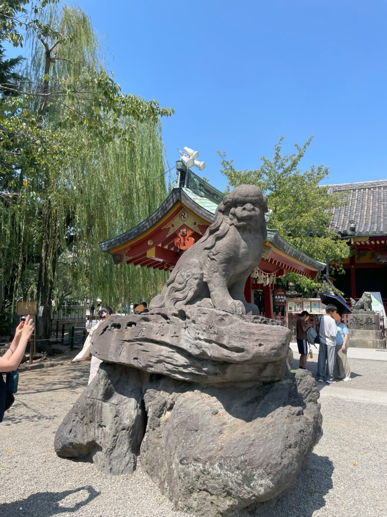 浅草神社の大きく立派な狛犬。
