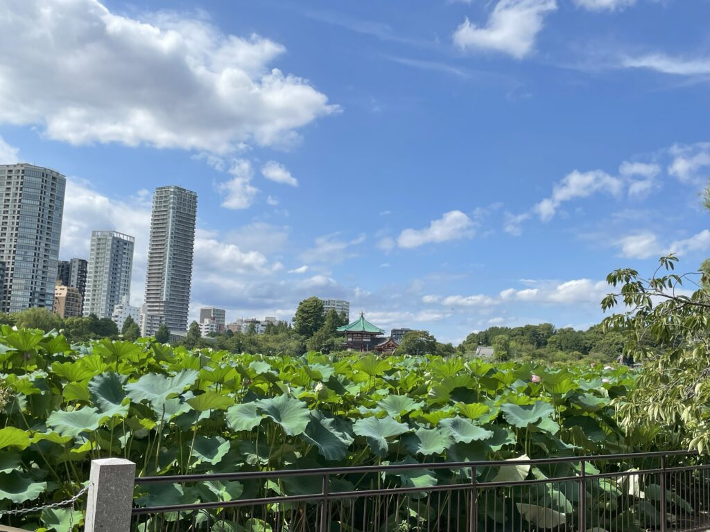 上野恩賜公園の不忍池近く。
