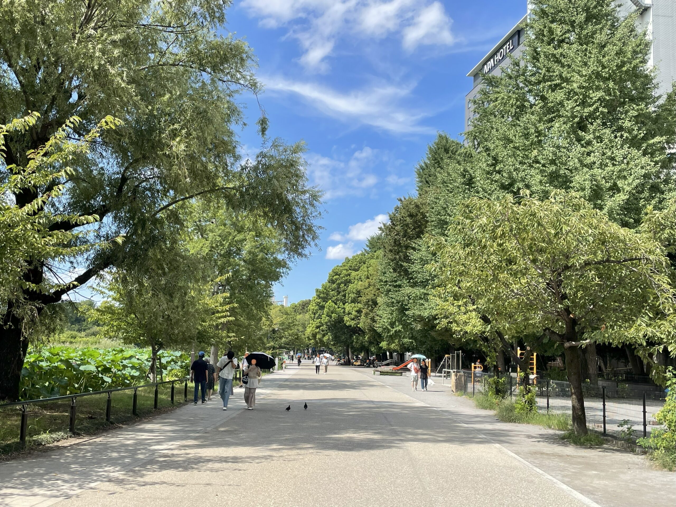 夏の上野恩賜公園内、日傘をさして歩道を歩く人々の姿が見える。