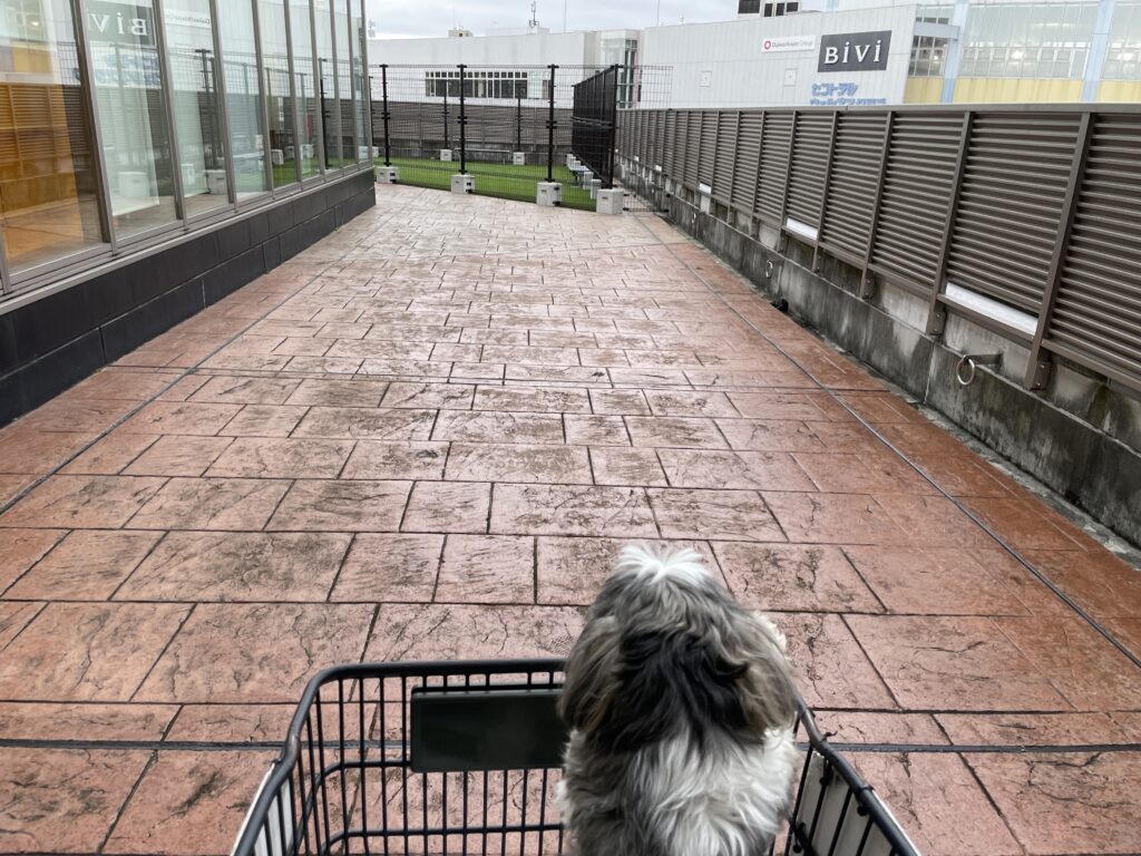 シーズー犬をのせたカートが、ドッグランの出入口へと向かう。