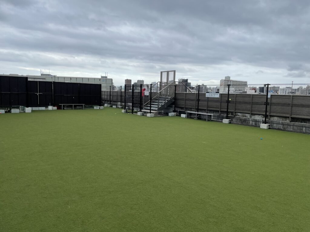 一面が人工芝のドックラン。