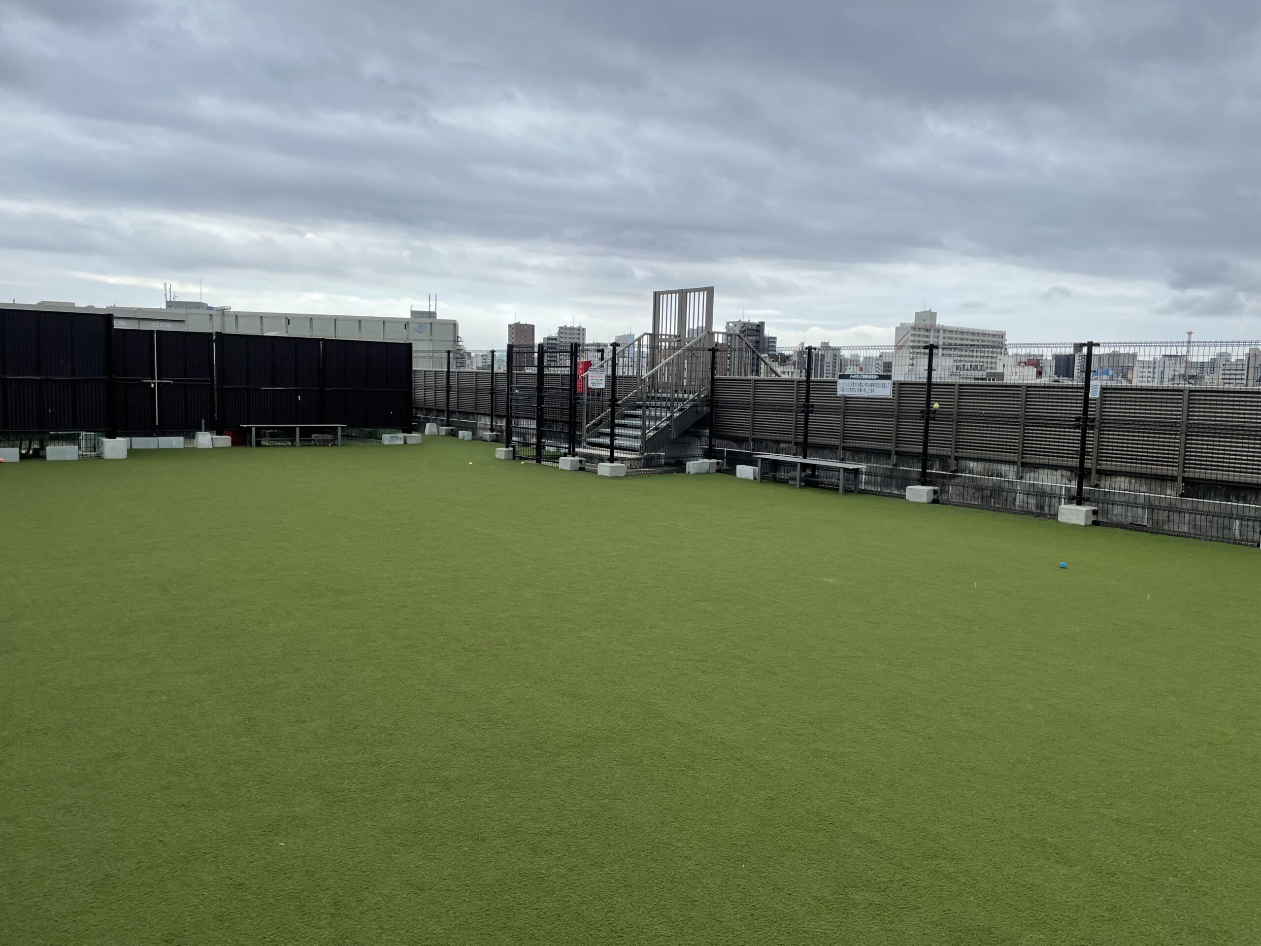 一面が人工芝のドックラン。