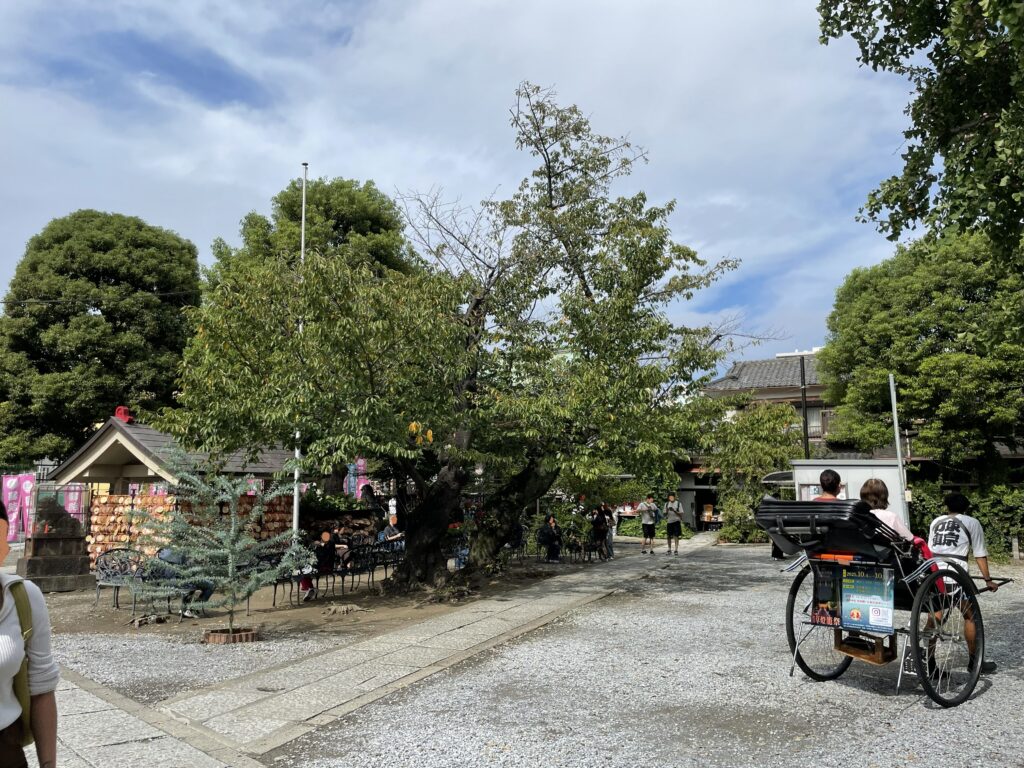 絵馬が並ぶ今戸神社の境内と参拝客の様子。
