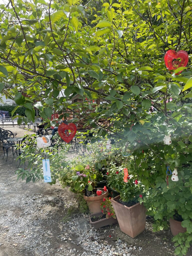 今戸神社の木に吊るされた風鈴とハート型の飾り。