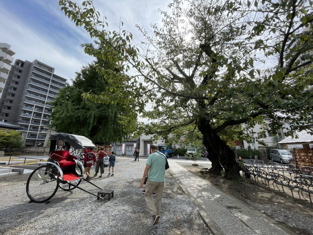 今戸神社の境内を歩く参拝客と待機中の人力車。