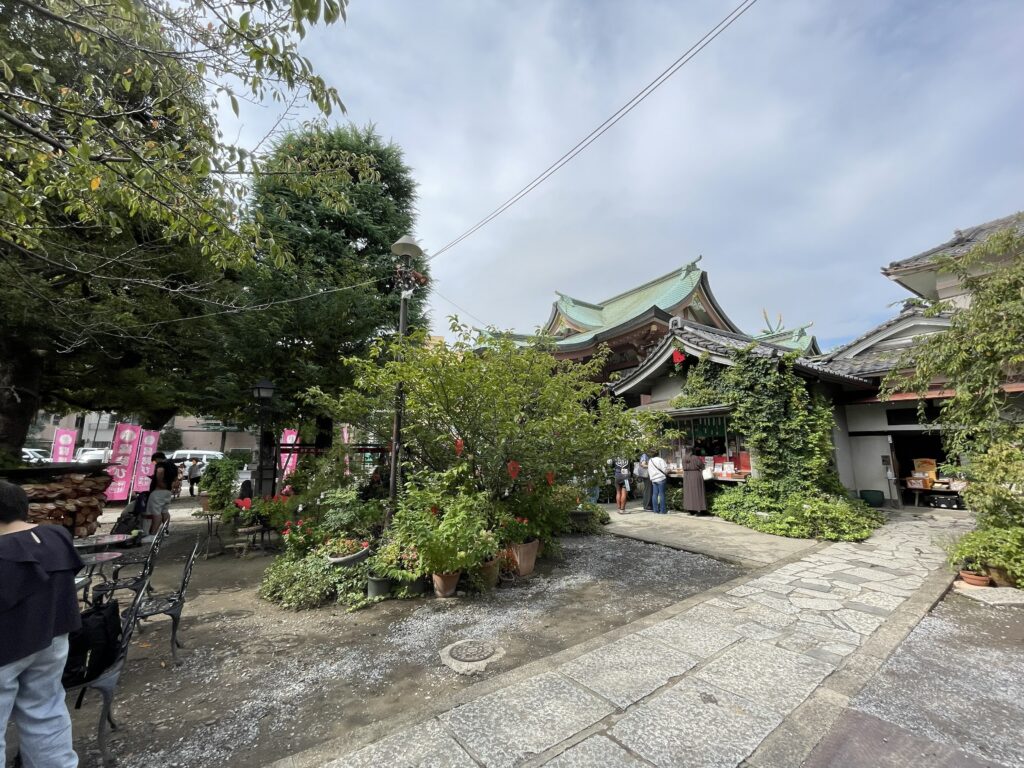 今戸神社の社殿と授与所を望む境内の風景。