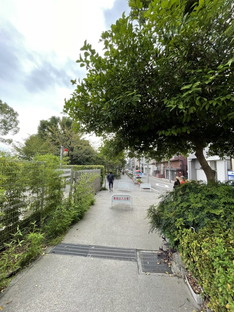 言問橋の横断歩道を渡った隅田公園入口をさらに歩いた風景。