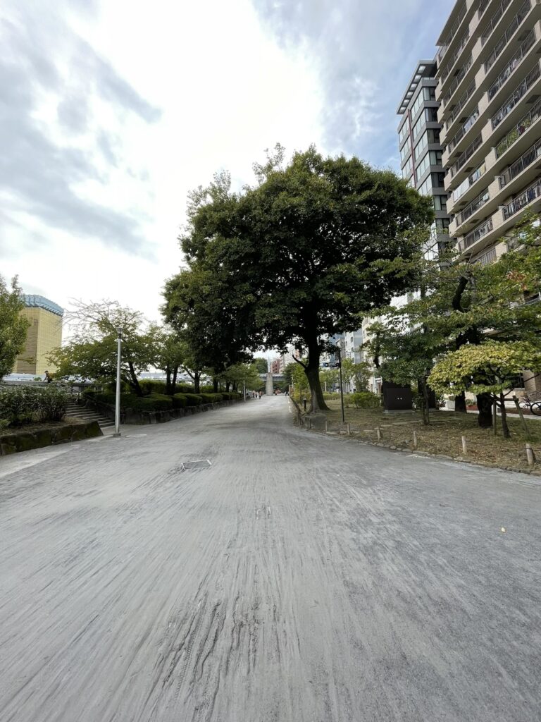 隅田公園内の道。曇り空が晴れてくる。