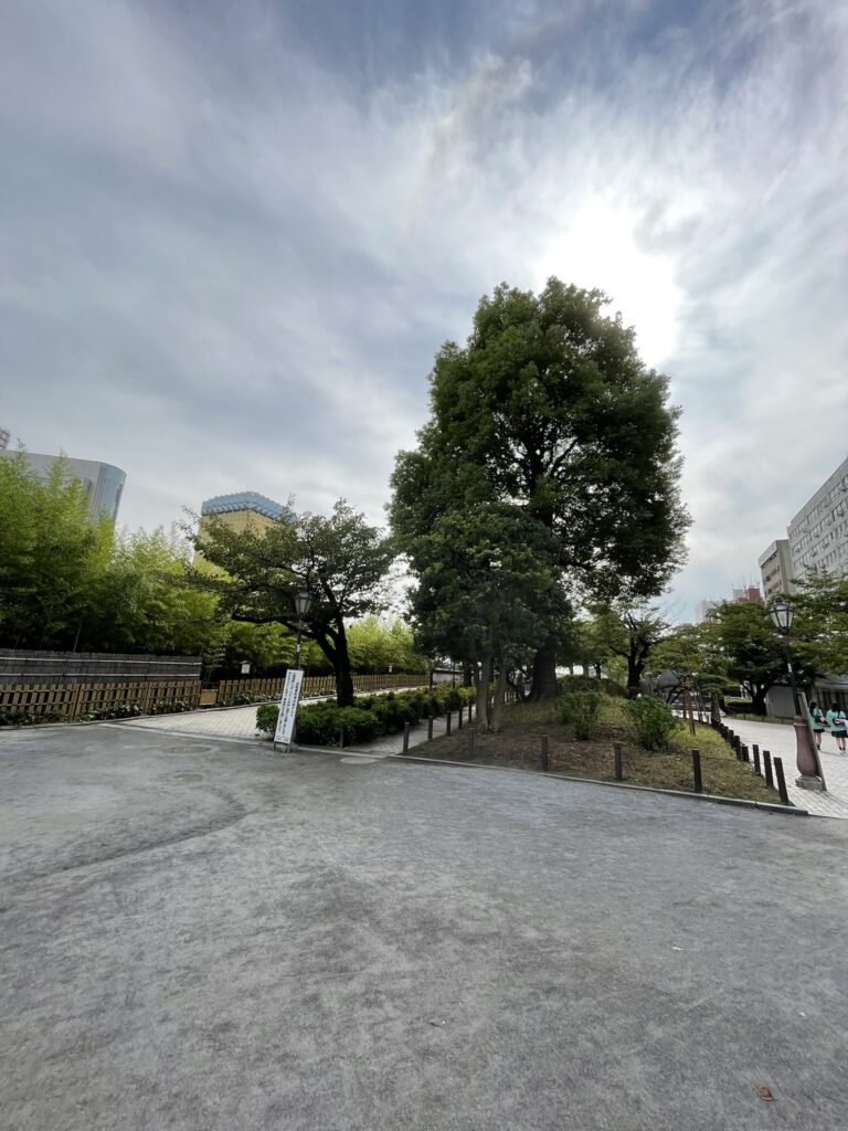 鉄橋を出た後の隅田公園内の道。