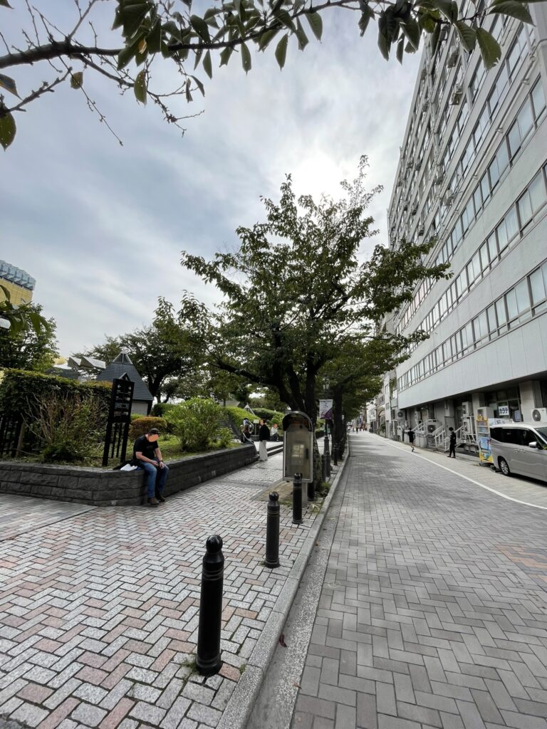 隅田公園内の石畳の歩道と車道。