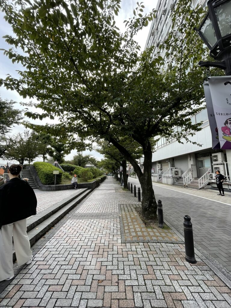石畳の歩道と車道。浅草が近づいている。