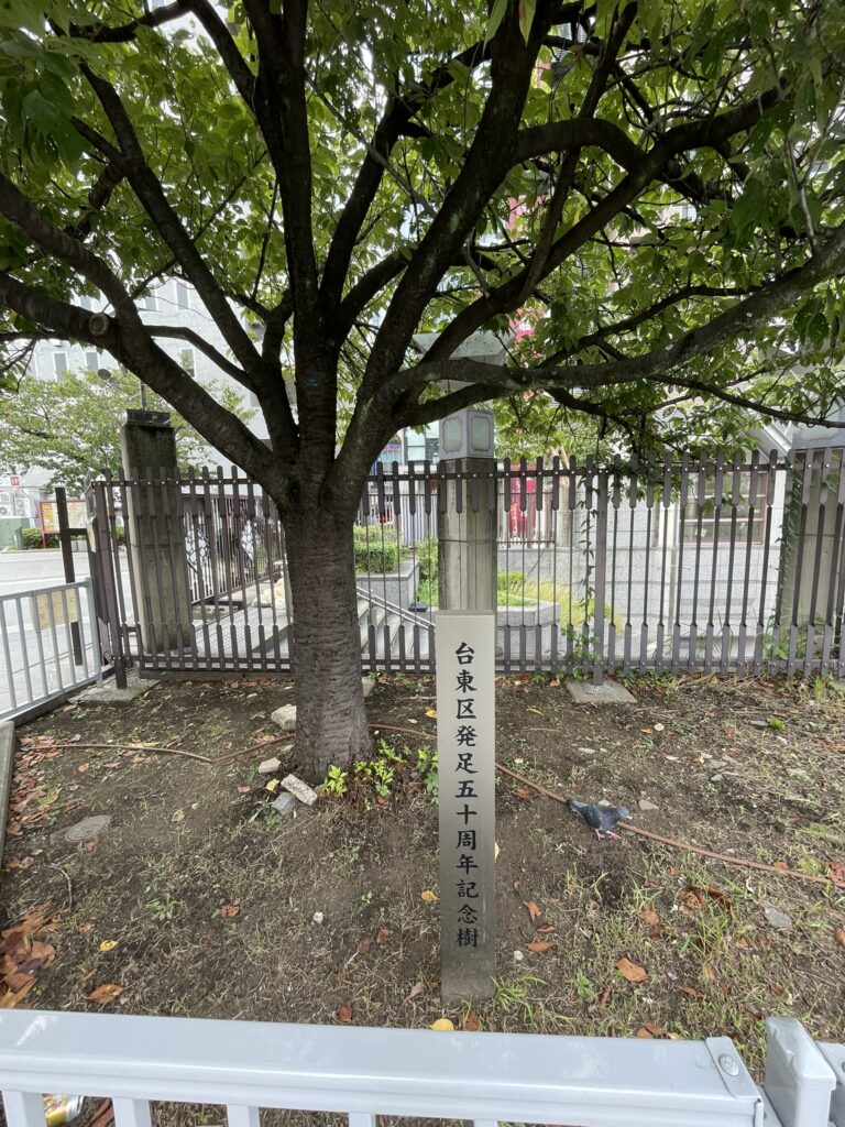 「台東区発足五十周年記念樹」の木。