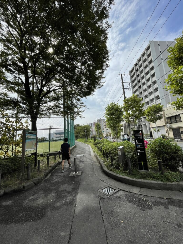 隅田公園・野球場横の並木道。