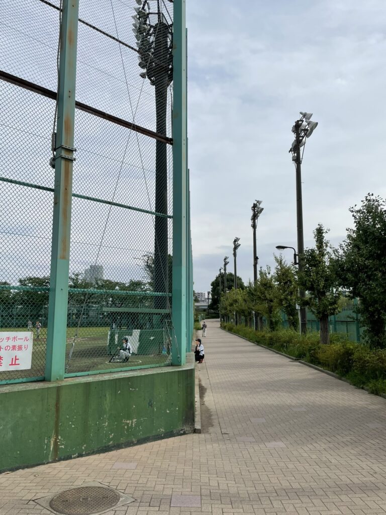桜橋案内板と野球場フェンス沿いの歩道。