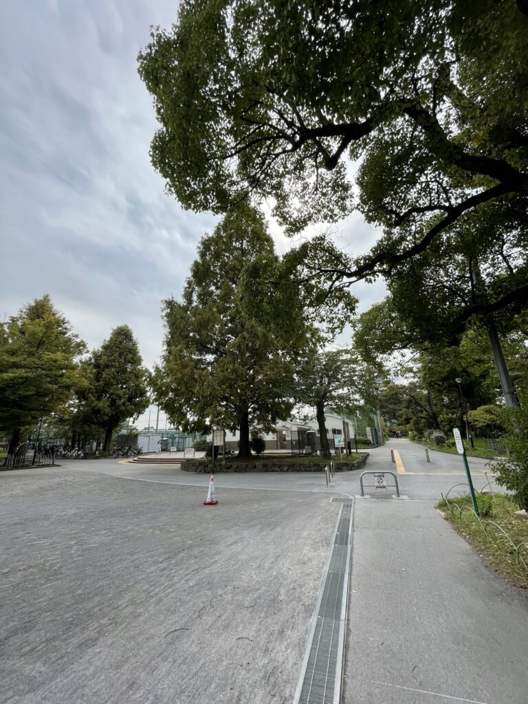 隅田公園内の広場。