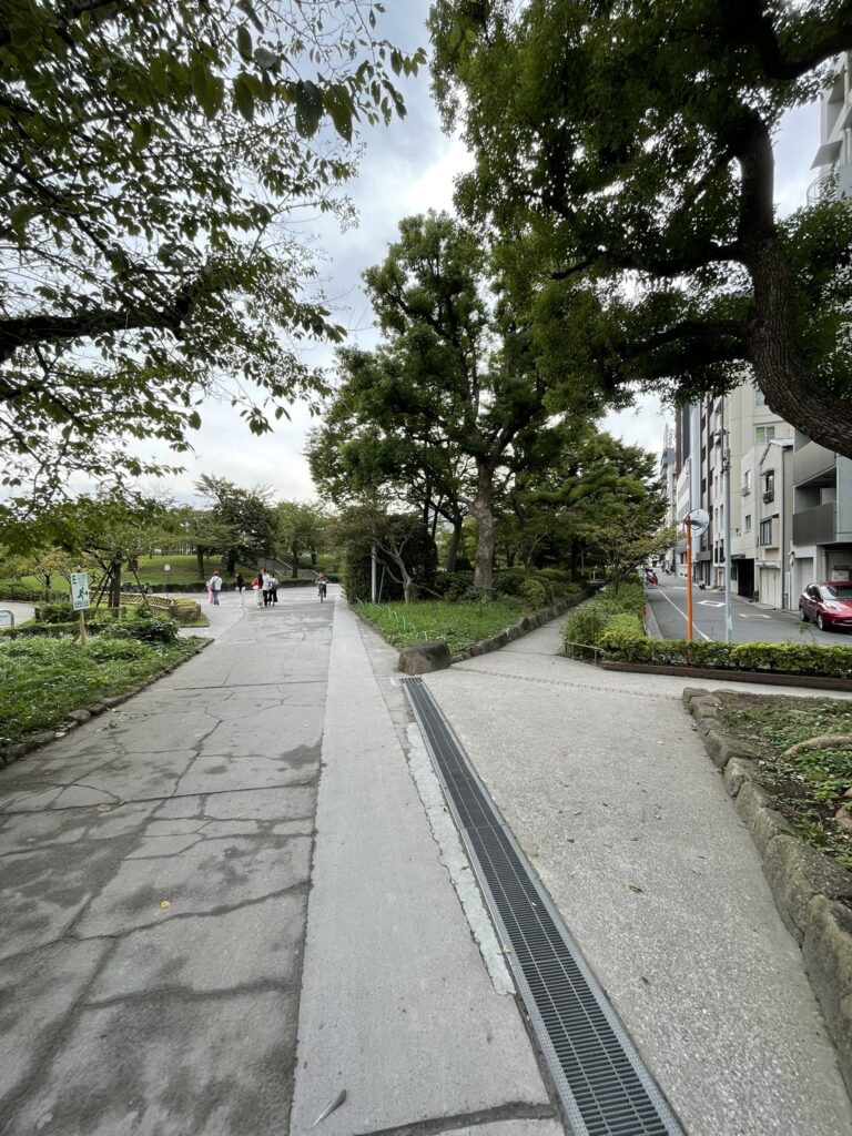 隅田公園内の並木道と分かれ道。