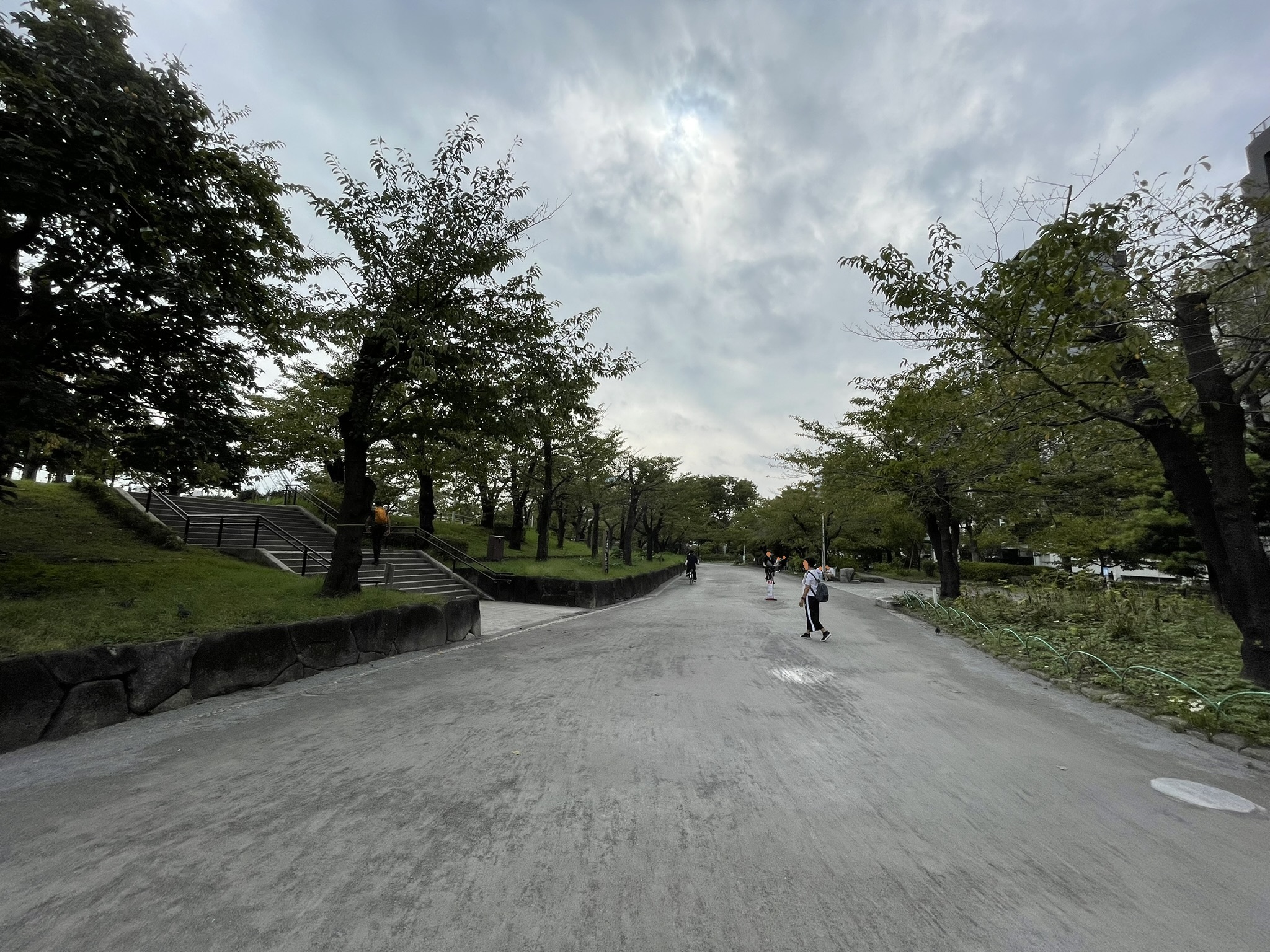 隅田公園の広い園路と桜並木。