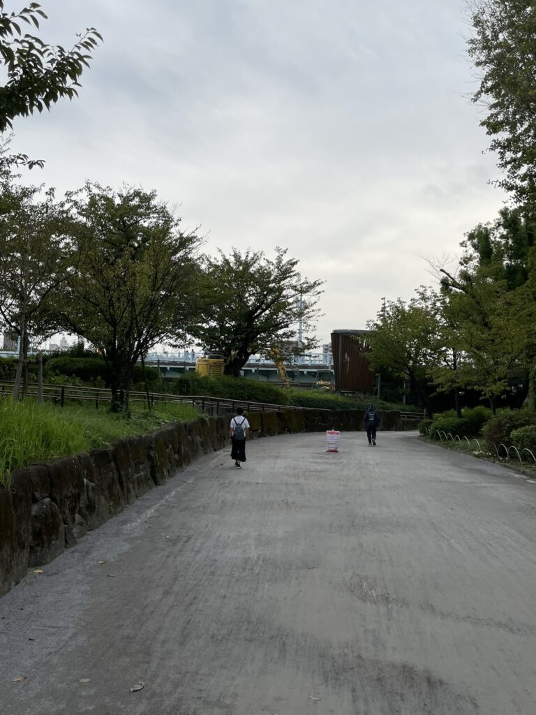 隅田公園の南側園路と工事中のエリア。
