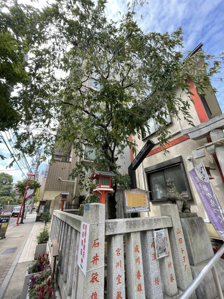 吉原神社の縁結びの御神木「逢染桜」