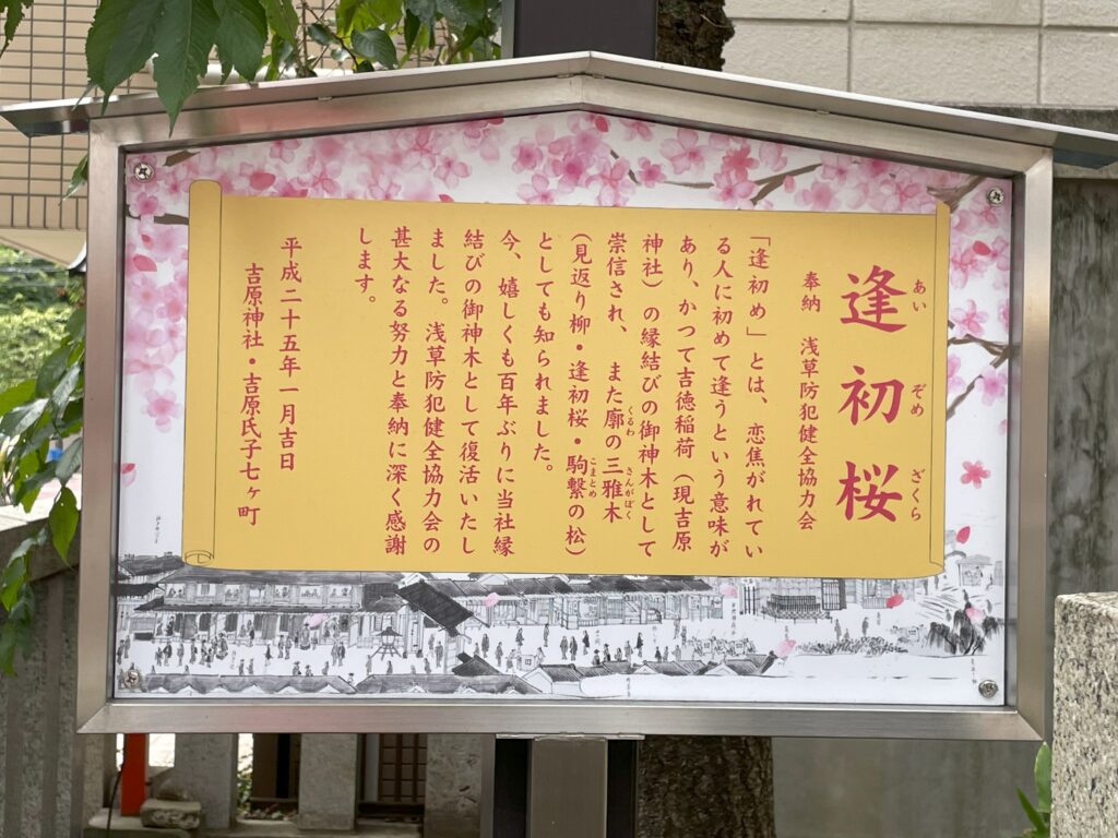 縁結びの御神木「逢初桜（あいぞめざくら）」の案内板。