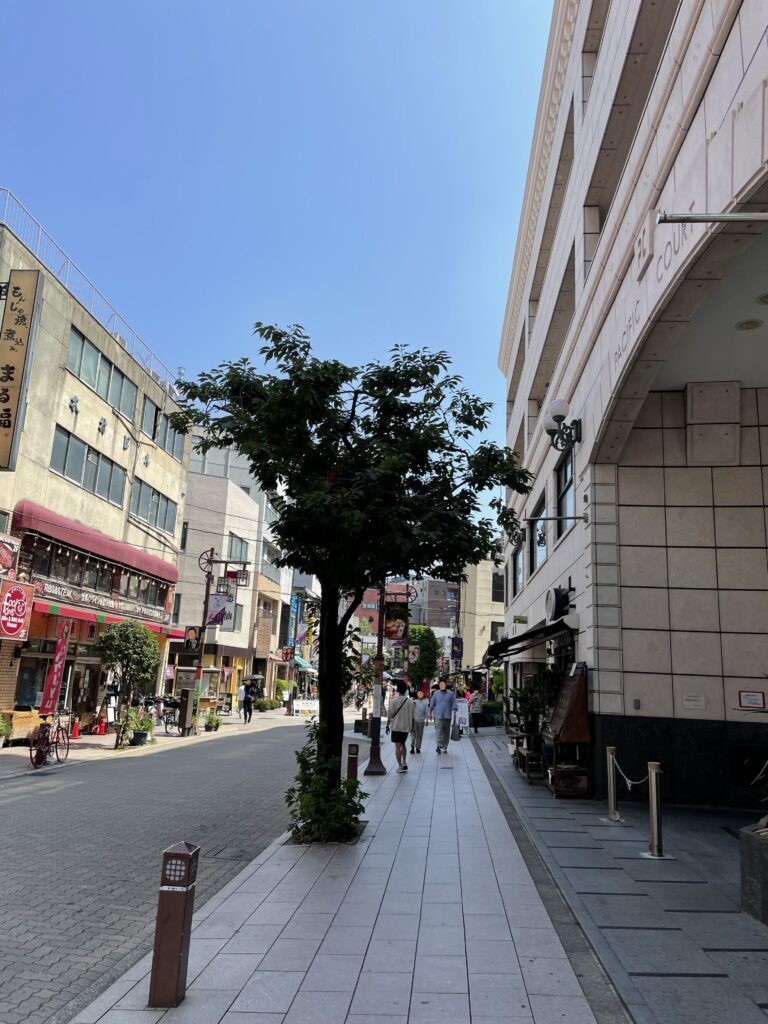 「浅草六区ブロードウェイ商店街」から入った「浅草六区通り」の様子。