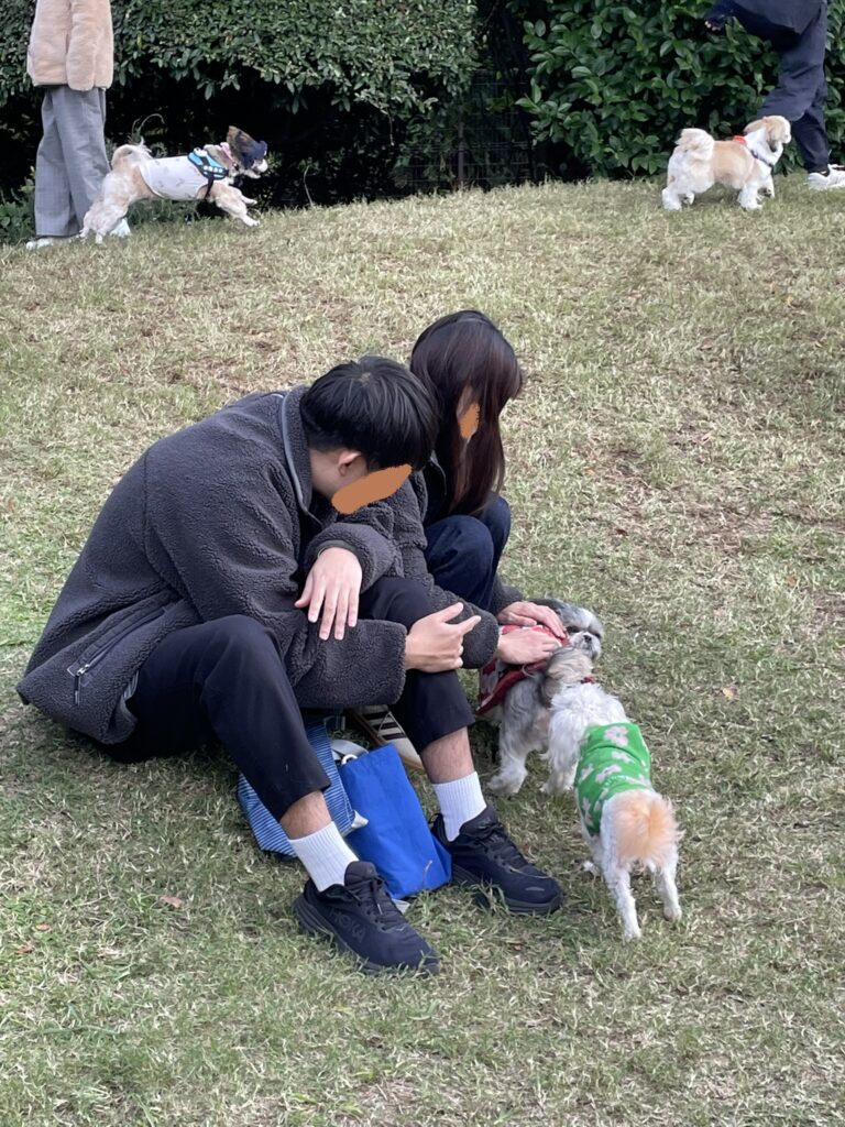 ドッグランで近づいてきたシーズーを可愛がる参加者。