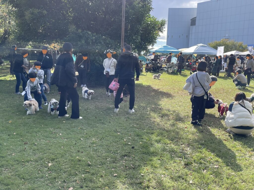 緑が多く、広々としたドッグラン。