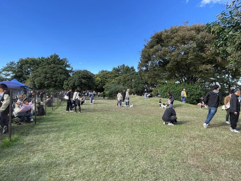 青空の下、穏やかな時間が過ぎている「イーノの森」の様子。