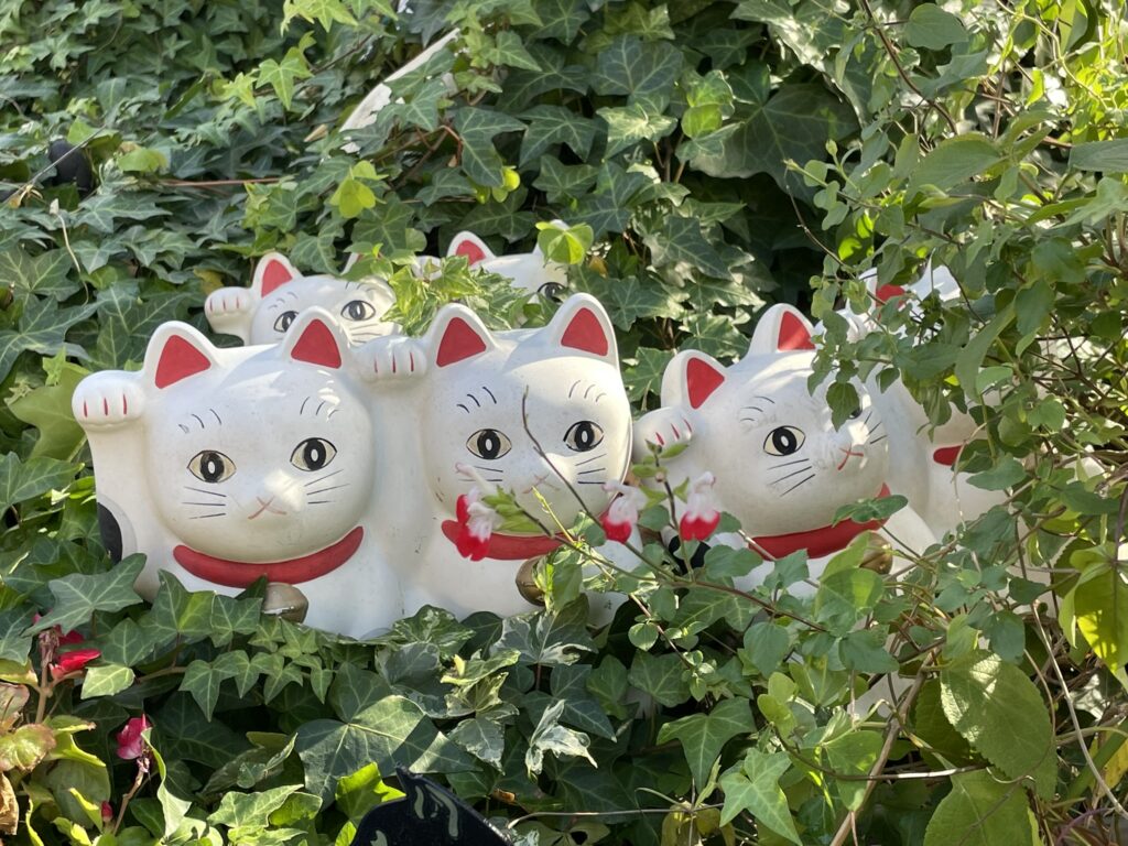 今戸神社の境内で、緑に囲まれている招き猫たち。