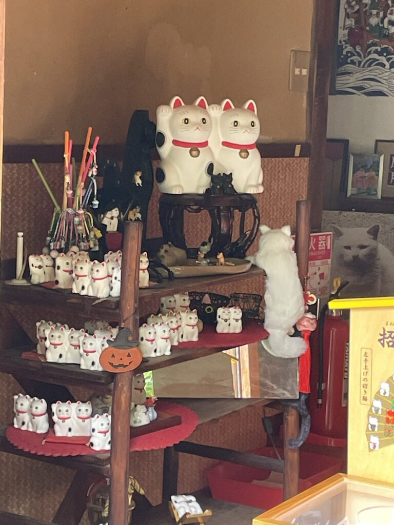 今戸神社のおみくじ所に並ぶ多くの招き猫の置物。右奥に白い猫「ナミちゃん」の写真がある。