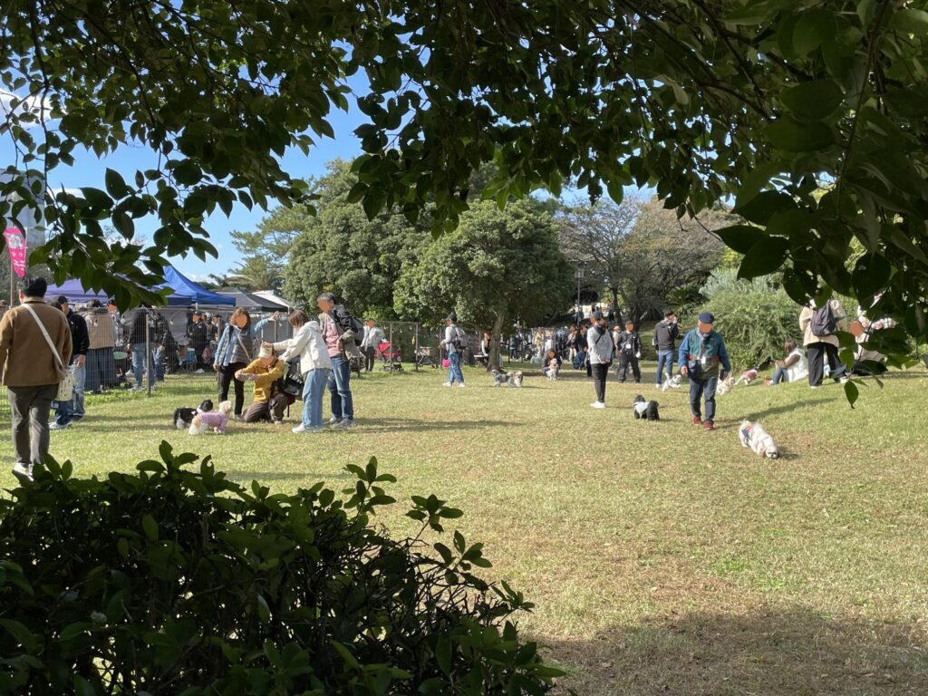 シーズーフェスティバルで、参加者の方々がシーズーと一緒にイベントへ参加をしたり、写真撮影や散歩などをしたり、思い思いに過ごしている。