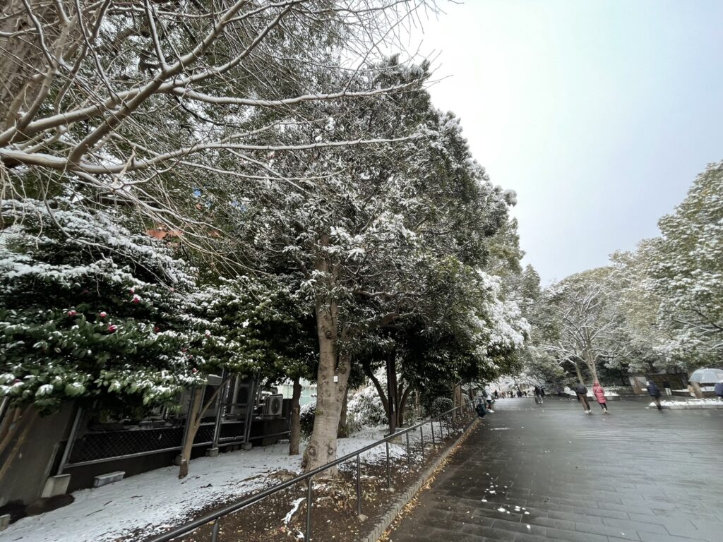 上野公園内の様子。