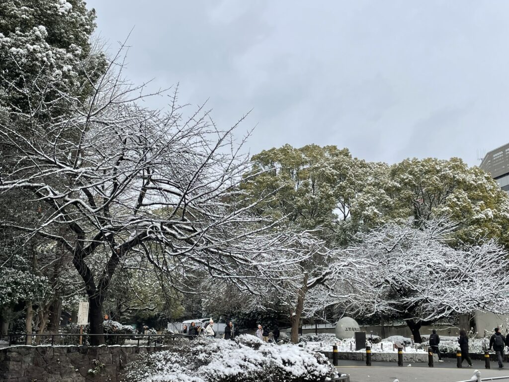 雪の日でも上野公園内には多くの観光客の方が歩いている。