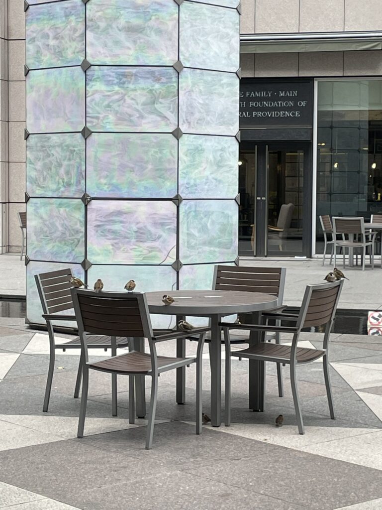 広場にあるテーブル席。テーブルの上や椅子の背もたれ、テーブル下に、スズメたちがいる。