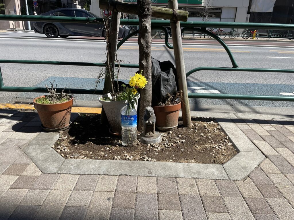 小さなお地蔵様の側にある花立には、生き生きとした花がお供えされている。