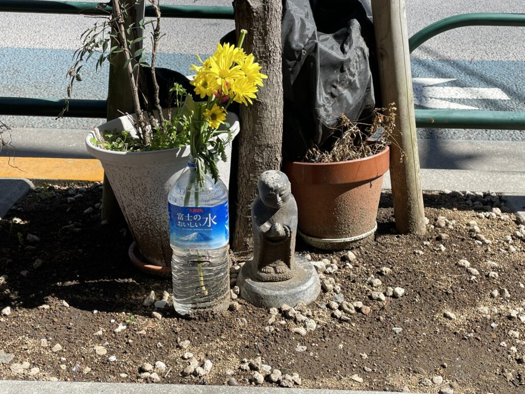 お顔をかしげているお姿が可愛い。