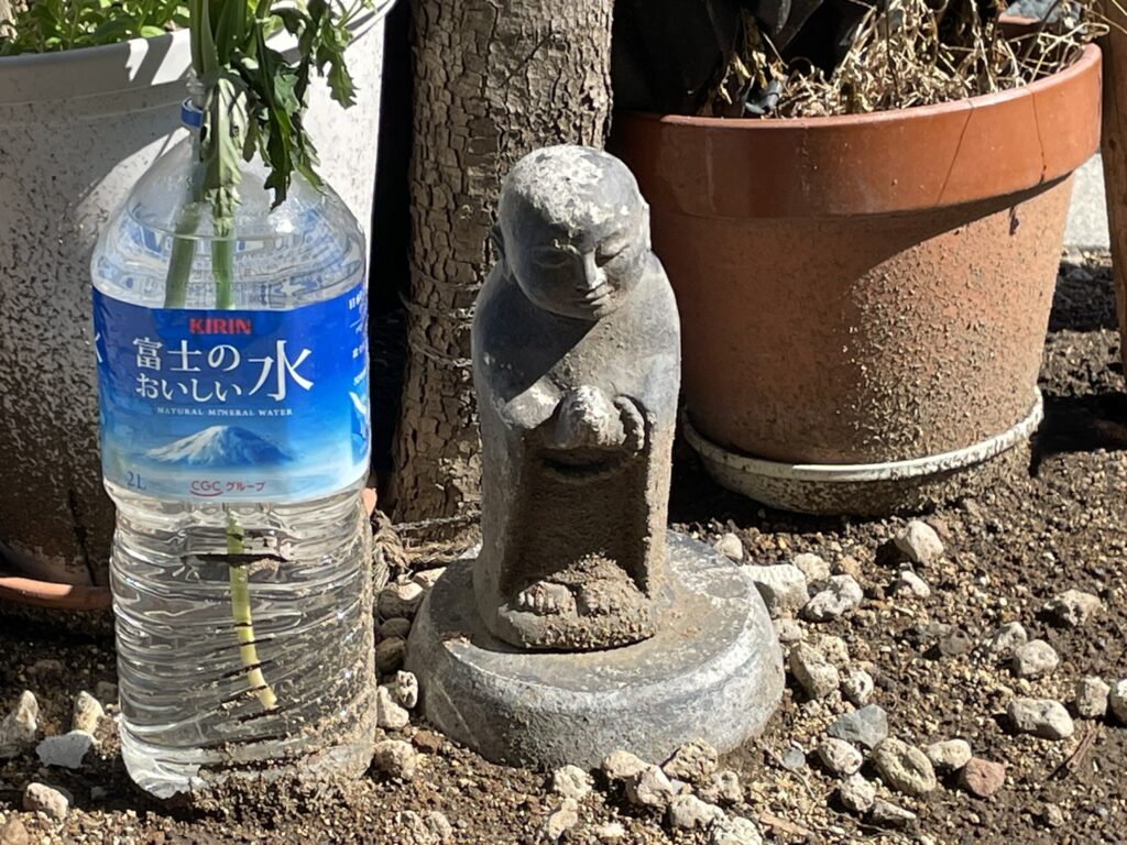 花をお供えされる方が、お地蔵様に手を合わせていると思われる。