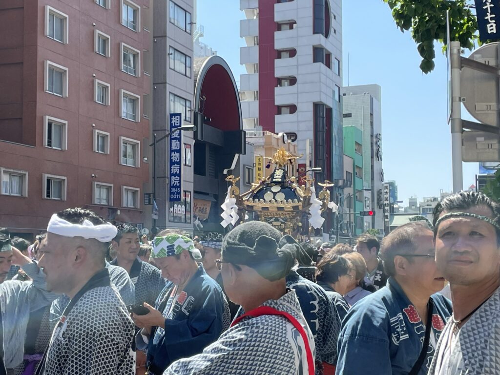 雷門通りに並ぶお神輿。複数の町内神輿が同時に巡行する、三社祭最終日の圧巻の光景です。
