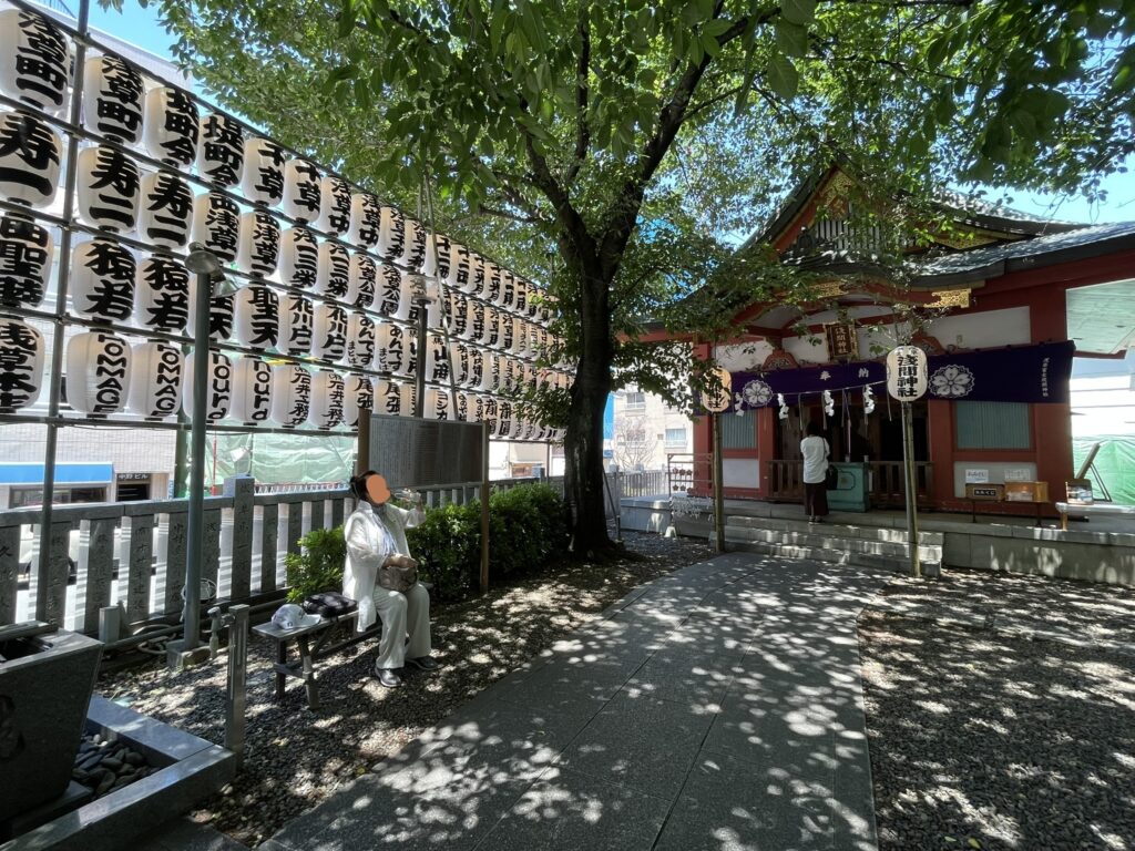浅草富士浅間神社の境内。提灯の列と木漏れ日が印象的。