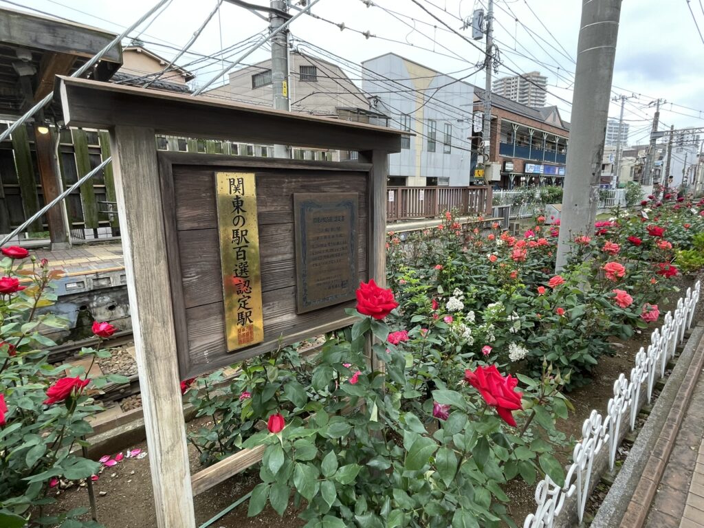 三ノ輪橋停留場の「関東の駅百選認定駅」の木製看板と、手前に咲く赤いバラの花壇。
