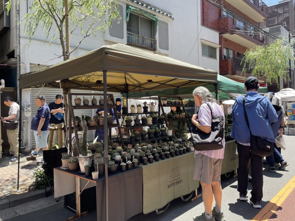 盆栽や鉢植えが並ぶ露店。お客さんが品定めをしている。