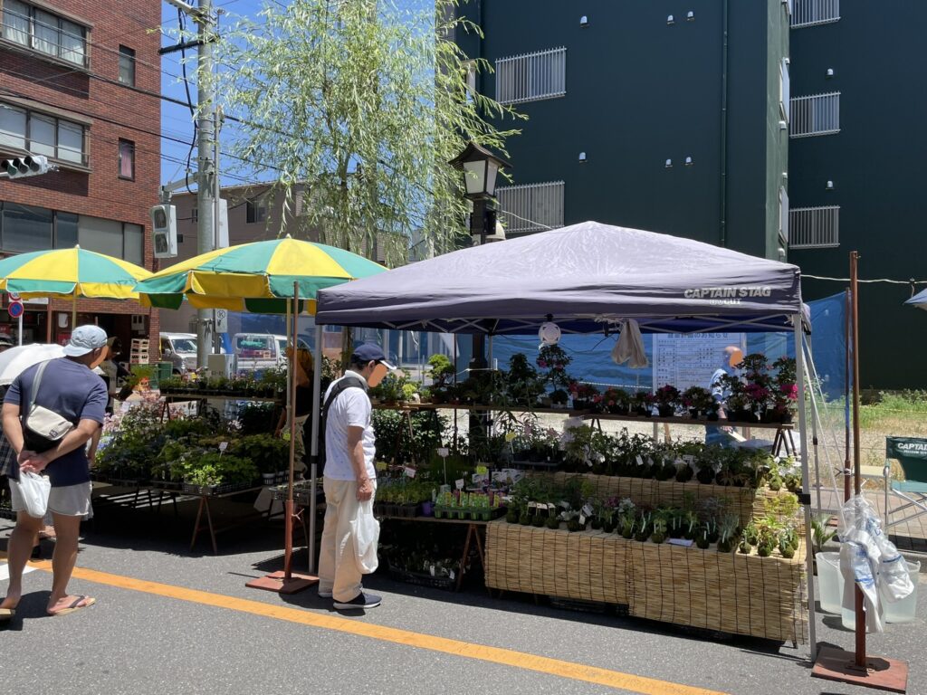植木の露店が並ぶ通り。しだれ柳が風にそよぐ。