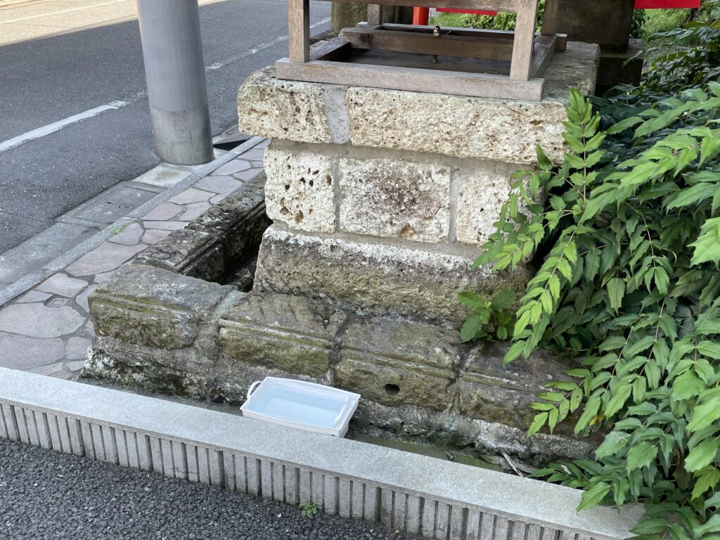 社殿の裏側に、そっと置かれた水。小さな命のための、水飲み場。