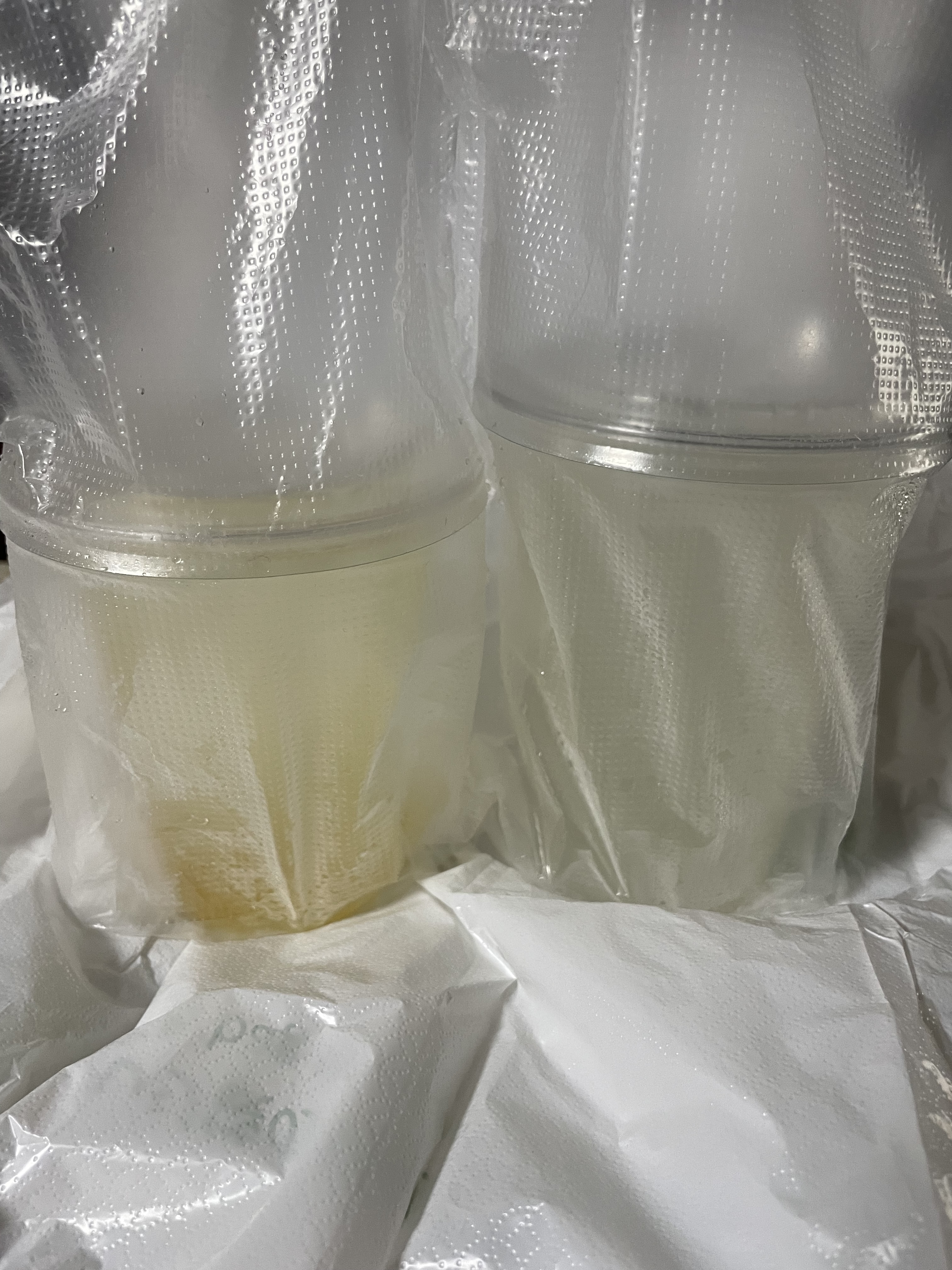 専用袋に入ったドリンク